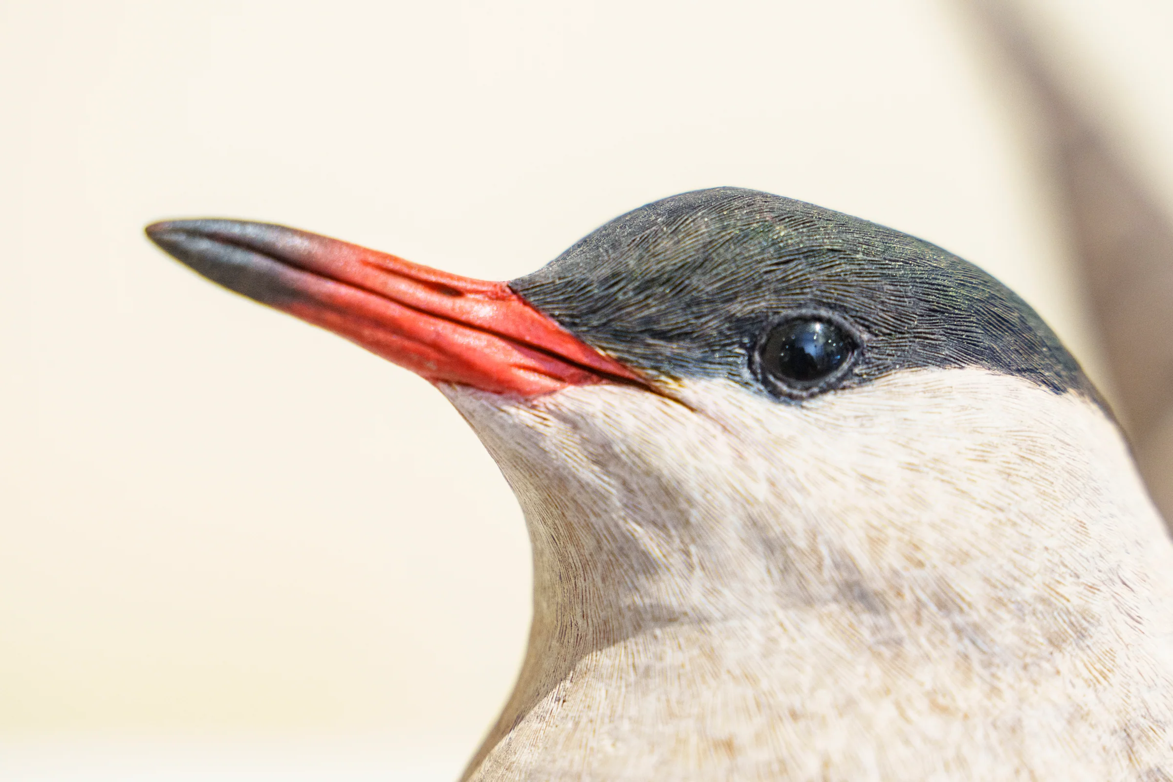 Common Tern sculpture, close-up of head showing red beak detail